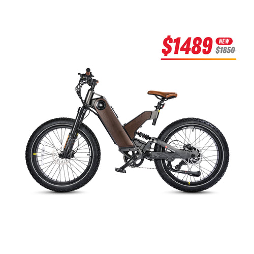 All Terrain Fat Tire Electric Hybrid Mountain Bikes