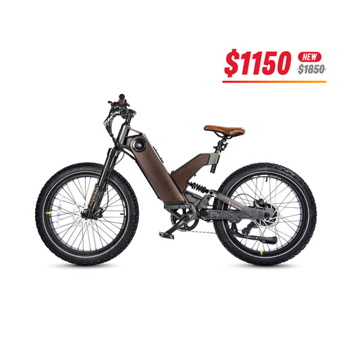 All Terrain Fat Tire Electric Hybrid Mountain Bikes