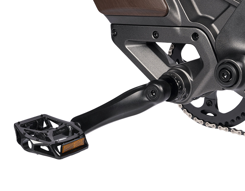 Pedal Assist Intelligent
