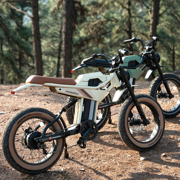 Balancing PAS & Throttle for Maximum Touring Range