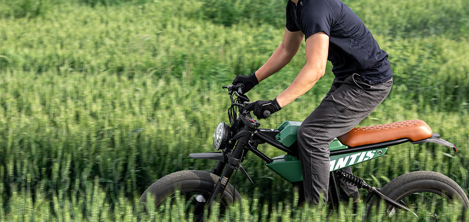 ANT6: Powering the Ride - The Ultimate eBike Experience for Adults