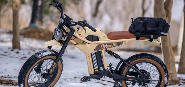 Power and Precision: Unveiling the ANT6 1000W Electric Bike