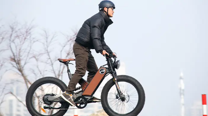 ANT5: Your Electric Fat Bike Adventure Awaits