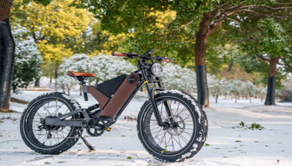 Antelope ANT5: Powering Through Trails - The Ultimate Electric Off-Road Bike  : Powering Through Trails - The Ultimate Electric Off-Road Bike