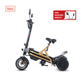 1000W Dual Motor Long Range Three Wheel Electric Scooter（W2）