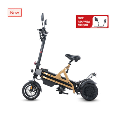 1000W Dual Motor Long Range Three Wheel Electric Scooter（W2）