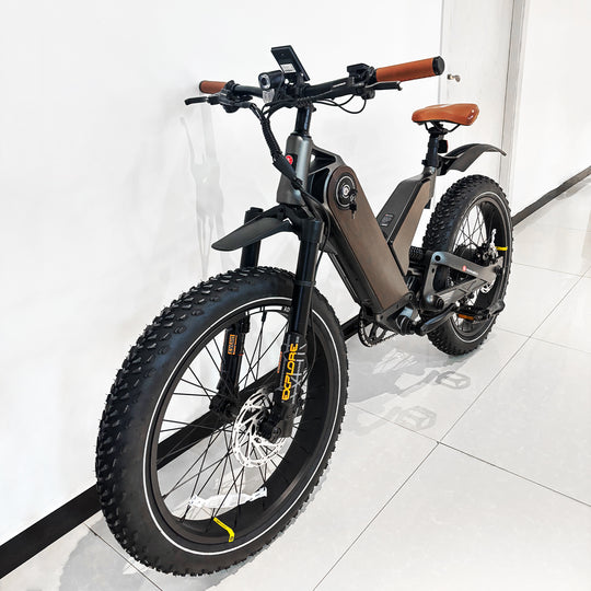 Ant5 E-Bike Lightweight Frame for Nimble City Cycling – marsantsx