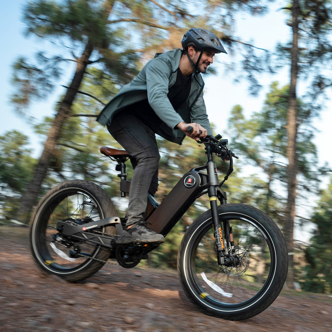fast electric bicycles Ant5 E-Bike