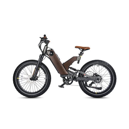 All Terrain Fat Tire Electric Hybrid Mountain Bikes Ant5