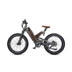 All Terrain Fat Tire Electric Hybrid Mountain Bikes Ant5