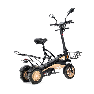 500W*2 Dual Motor Three Wheel Electric Scooter
