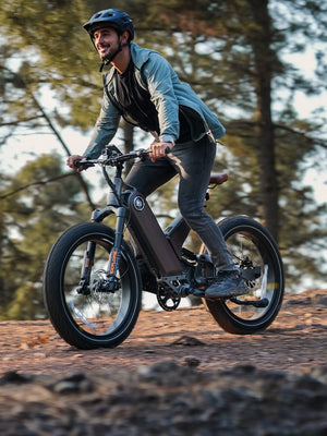 marsants'x ANT5 24*4.0 "  fat tire electric bike