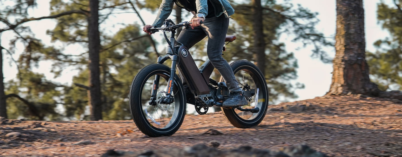 marsants'x ANT5 24*4.0 "  fat tire electric bike