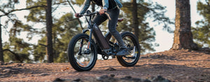 marsants'x ANT5 24*4.0 "  fat tire electric bike