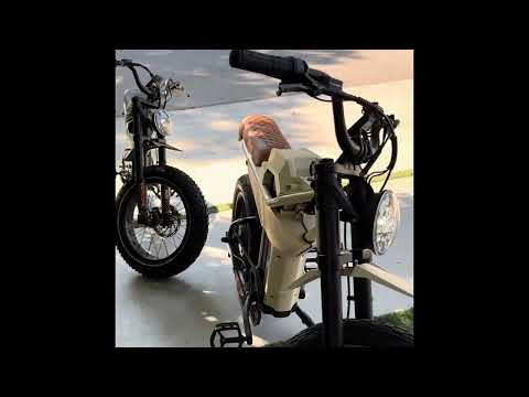 Long Range 20 Inch *4 Fat Tire Pedal Assist Ebike Ant6