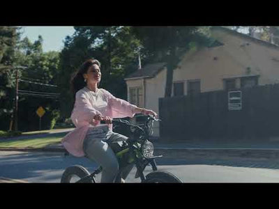 Long Range 20 Inch *4 Fat Tire Pedal Assist Ebike Ant6