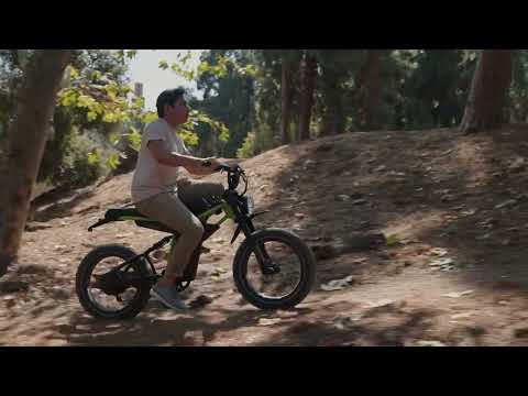 Long Range 20 Inch *4 Fat Tire Pedal Assist Ebike Ant6