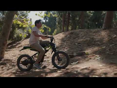 Long Range 20 Inch *4 Fat Tire Pedal Assist Ebike Ant6